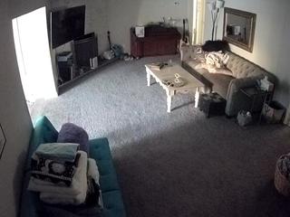 voyeurcam-missoliviablack-03